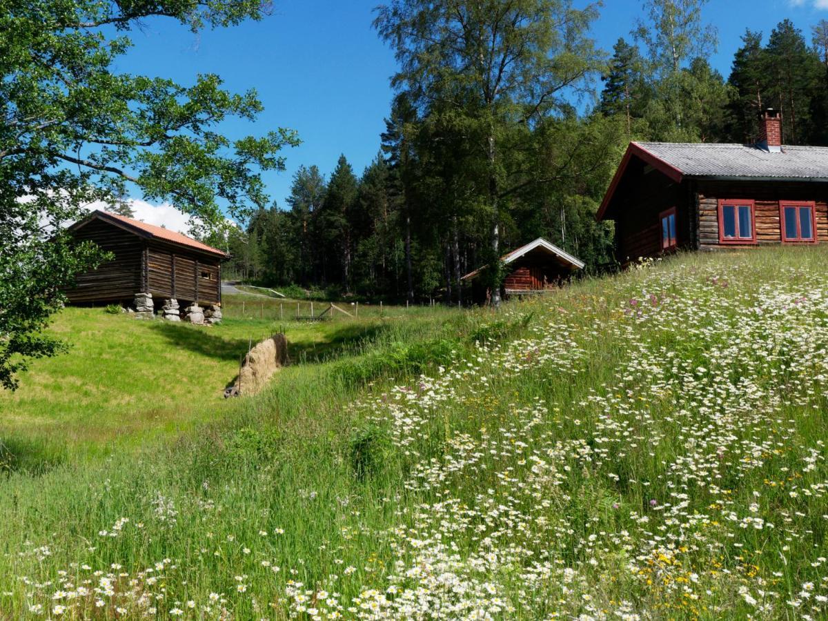 Villa Bolkesjo Gaard Notodden Exterior foto